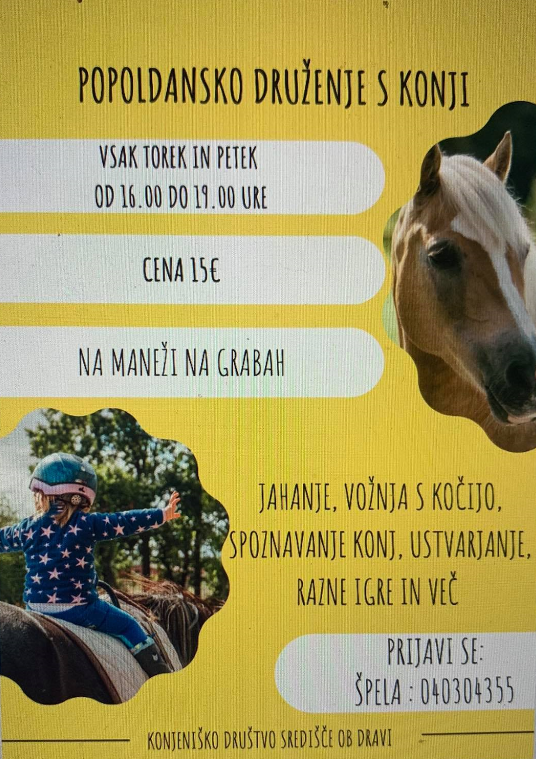 Popoldansko druženje s konji.png